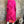 Load image into Gallery viewer, AJ0603 Long Jacqui Coat-Mars Pink
