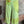 Load image into Gallery viewer, 6923MCP Mary Crop Pants-A
