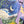 Load image into Gallery viewer, Inoah's Artful 2 Look Raincape-Cats Dream
