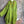 Load image into Gallery viewer, 91750S Stripe Big Shirt-KIWI

