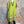 Load image into Gallery viewer, 90847G Garden Tea Party Dress-Kiwi
