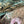 Load image into Gallery viewer, ARB Hand Painted Bandana-Sage
