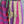 Load image into Gallery viewer, 2007W Wide Leg Kantha Pants-Mix 1
