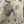 Load image into Gallery viewer, PL-630 Butterfly tshirt Dress
