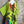 Load image into Gallery viewer, 90617P-23 Linen Paint Dress-Kiwi

