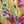 Load image into Gallery viewer, 90847G Garden Tea Party Dress-Mango
