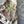 Load image into Gallery viewer, MOTS Opera Duster Kimono Robe-Golden Hour
