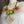 Load image into Gallery viewer, 26N14C Daisy Sisters Necklace-Multi Mix
