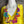 Load image into Gallery viewer, 26N145 Coneflower Combo Necklace-A Spring Mix

