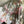 Load image into Gallery viewer, PLC220 Wanderlust Wine Duster
