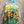 Load image into Gallery viewer, Inoah's Artful 2 Look Raincape-Sunny Days
