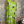 Load image into Gallery viewer, 91877-52 Artful Bloom Dress-Kiwi
