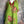 Load image into Gallery viewer, 90645-62 Rose Pocket Tunic-KIWI
