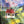 Load image into Gallery viewer, Inoah's Artful 2 Look Raincape-Cats Dream
