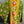 Load image into Gallery viewer, 1040w Kantha Long Sleeve Jacket-Eve
