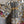 Load image into Gallery viewer, AD26-01 The High-Low Echo Dress-Safari Flair
