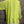 Load image into Gallery viewer, MP-HLT651 Baby Doll Top-Kiwi
