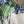 Load image into Gallery viewer, ARB Iris Artis Kimono Top
