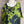 Load image into Gallery viewer, 91307T-62 Ruffle Tie-Dye Tunic-Kiwi
