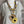 Load image into Gallery viewer, Q4020 Terra Shirt-Stone

