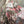 Load image into Gallery viewer, PLC220 Wanderlust Wine Duster
