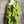 Load image into Gallery viewer, 90617P-23 Linen Paint Dress-Kiwi
