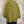 Load image into Gallery viewer, 5609 Cambria Cardigan
