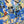 Load image into Gallery viewer, Inoah's Artful 2 Look Raincape-Curious Bots
