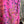Load image into Gallery viewer, 90847 Paint Splotch Print Dress-Fuchsia
