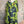 Load image into Gallery viewer, 91307T-62 Ruffle Tie-Dye Tunic-Kiwi
