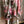 Load image into Gallery viewer, PLC220 Wanderlust Wine Duster
