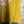 Load image into Gallery viewer, ARB Celebrate W/Chic USA Tshirt-Mustard
