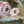 Load image into Gallery viewer, ARB Hand Painted Bandana-Sage
