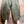 Load image into Gallery viewer, 92028-62 Corduroy FW Pant-Olive
