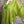 Load image into Gallery viewer, 6653S Stripe Top-KIWI
