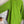 Load image into Gallery viewer, 91983A-62 Buttoned Stitch Tunic-Kiwi
