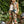 Load image into Gallery viewer, MOTS Linen Crop Artist Pant-Stay Gold
