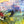 Load image into Gallery viewer, Inoah's Artful 2 Look Raincape-Cats Dream
