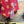 Load image into Gallery viewer, JG- Kantha Sunrise Multi Dress-B
