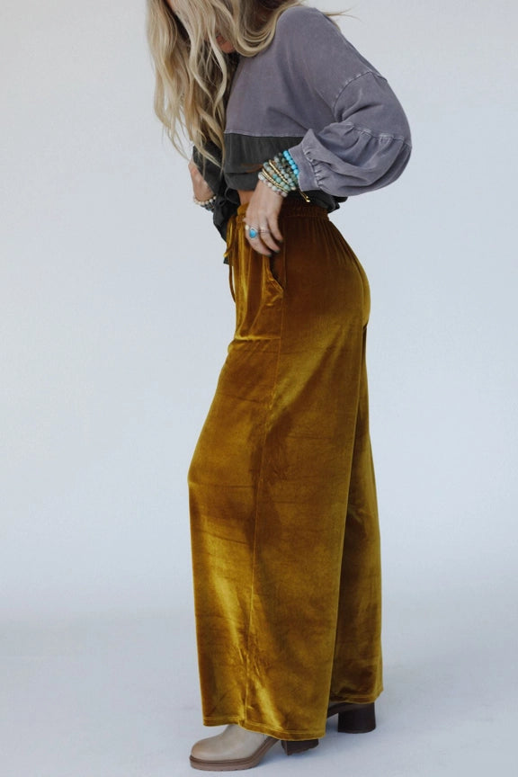 TBN6595 Fall Robin Velvet Pant
