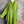 Load image into Gallery viewer, 91750S Stripe Big Shirt-KIWI
