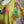 Load image into Gallery viewer, 90847P Painted Presence Dress-Kiwi
