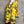Load image into Gallery viewer, Z6653 Painters Top-Lemon
