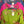 Load image into Gallery viewer, 90645-62 Rose Pocket Tunic-KIWI

