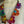 Load image into Gallery viewer, 26N145 Coneflower Combo Necklace-A Spring Mix

