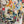 Load image into Gallery viewer, T761BEG Hi-low Top w/Pocks-Cookies Delight
