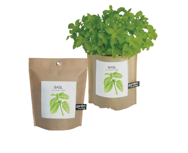 CGBSNAP Garden In A Gift Bag-Basil