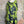 Load image into Gallery viewer, 91307T-62 Ruffle Tie-Dye Tunic-Kiwi
