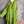 Load image into Gallery viewer, 91750S Stripe Big Shirt-KIWI
