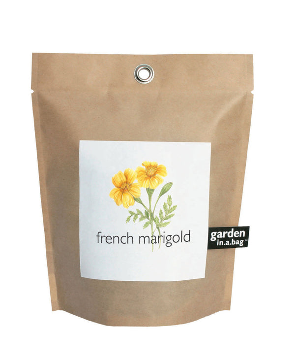 CGBSNAP Garden In A Gift Bag-French Marigold